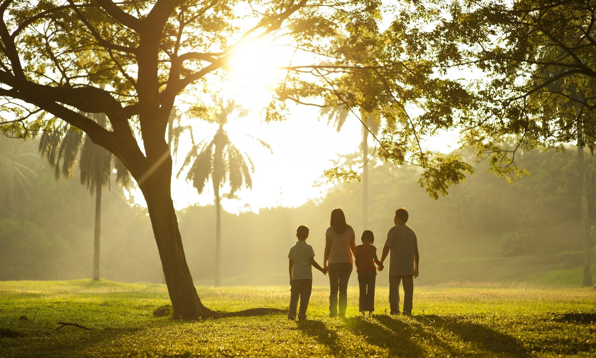 Famiglia al tramonto sotto albero, 2000x1200 2K, Laptop