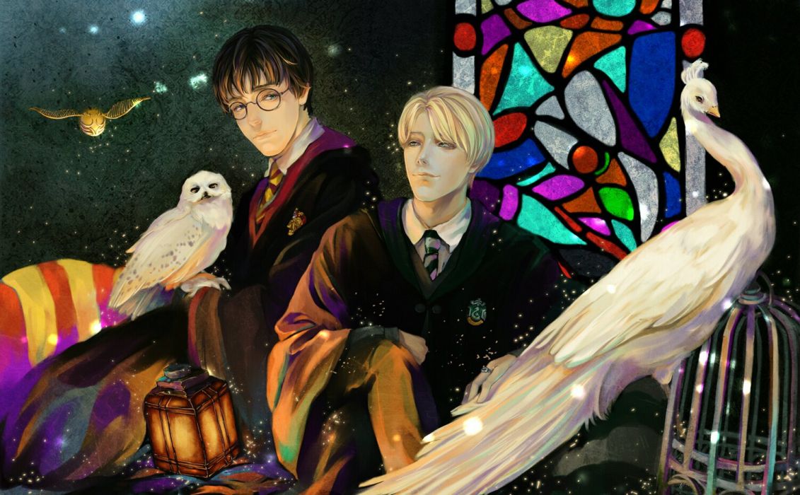 Harry Potter e Draco fan art, mondo magico, 1131x700 HD, Desktop