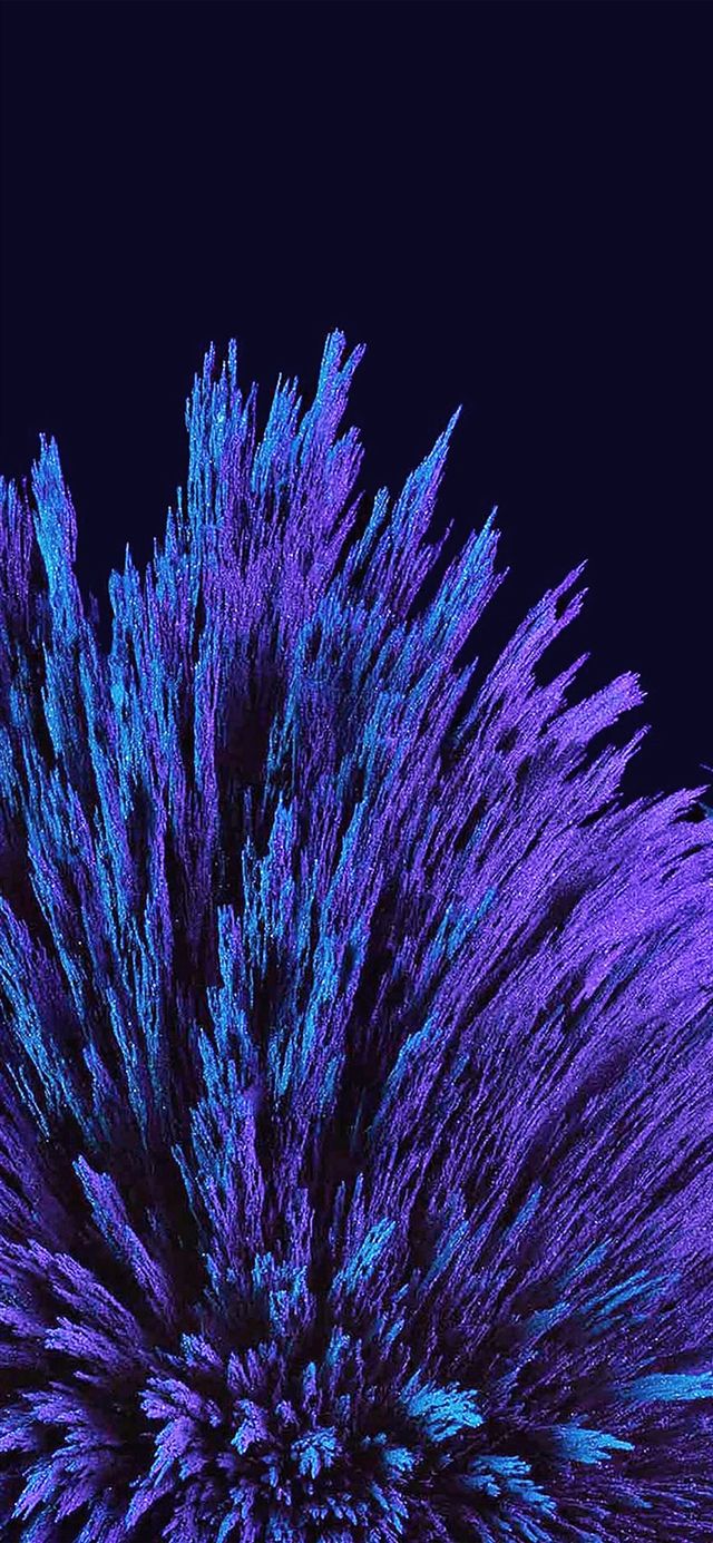 Esplosione floreale astratta viola, 640x1385 Verticale, iPhone Pro