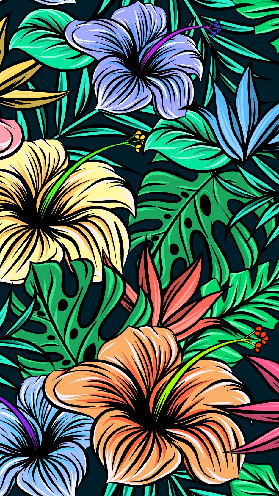 Fiori ibisco colorati tropicali, 938x1668 Full HD Verticale, iPhone Plus