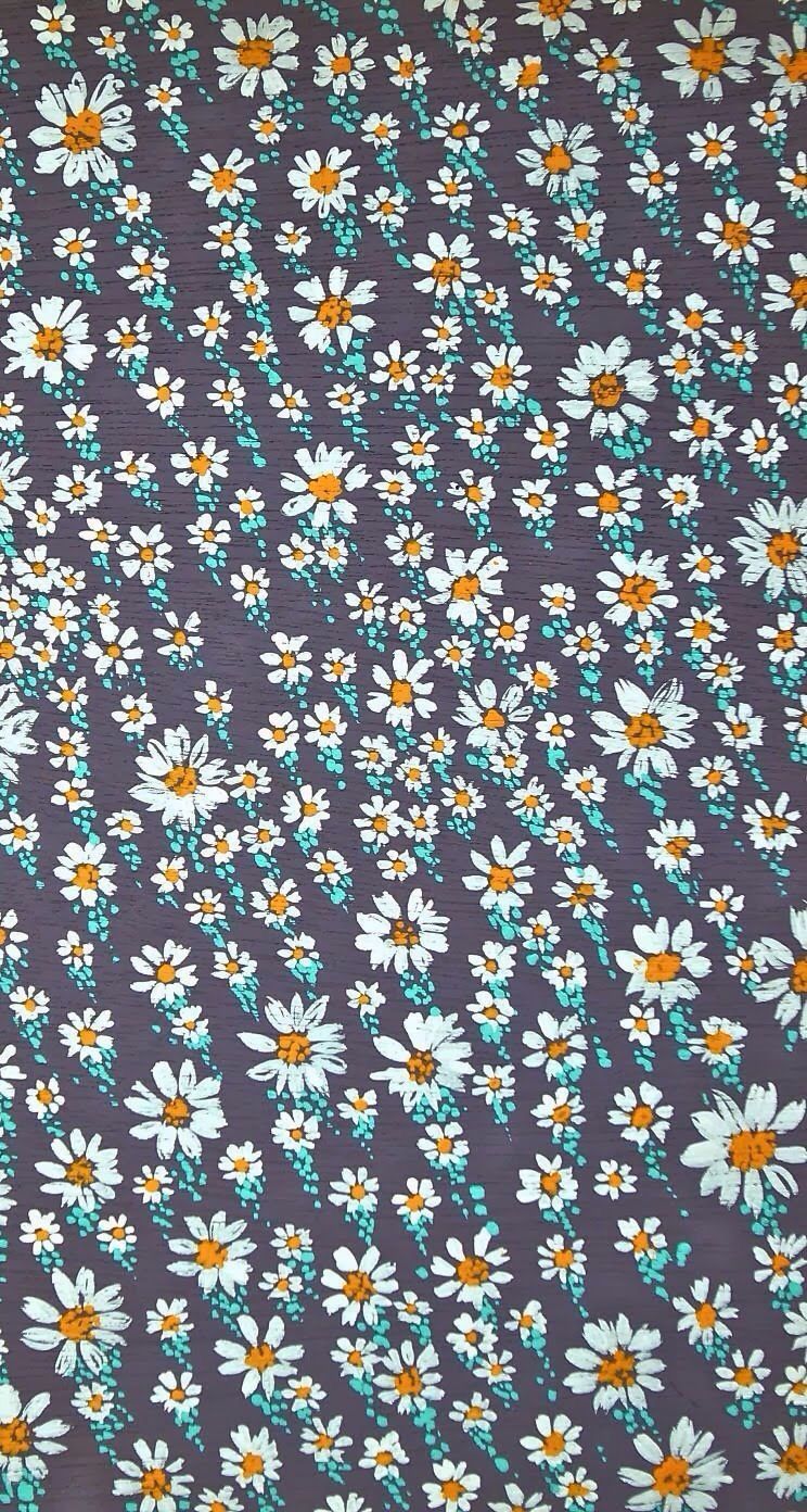 Margherite bianche sfondo grigio, 744x1392 Verticale, iPhone Pro Max