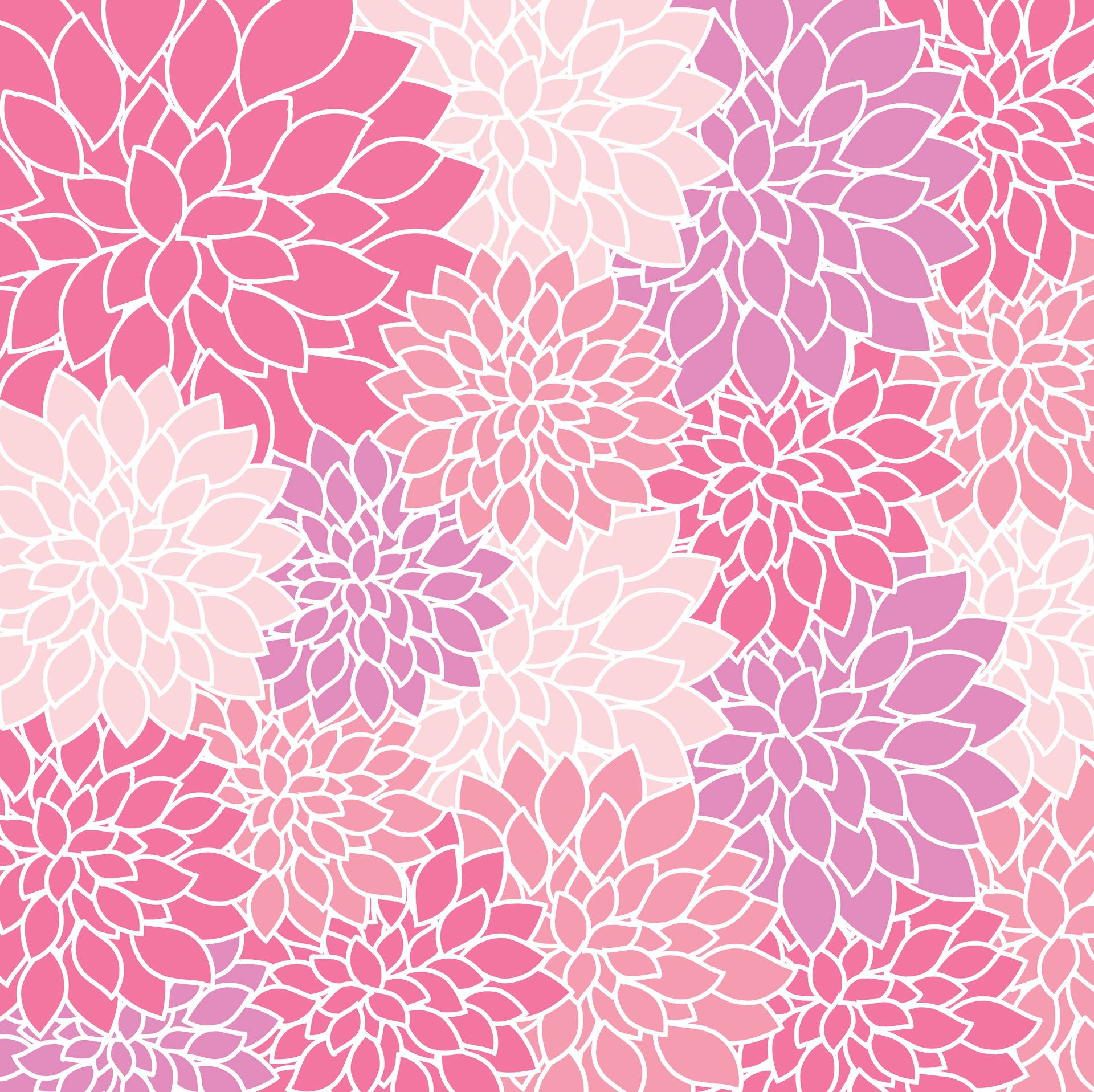 Dalie fiori rosa viola, 1920x1916 WUXGA, Laptop