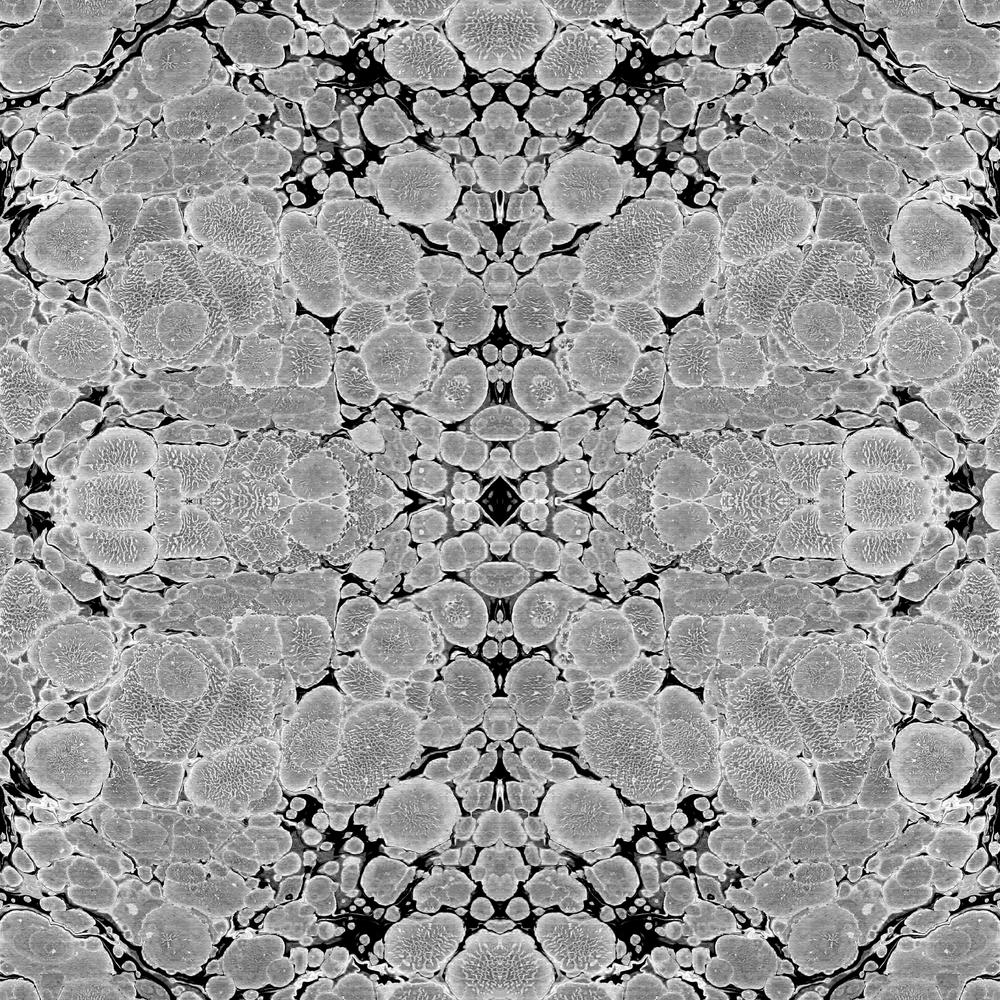 Motivo damascato nero grigio, 1000x1000 HD, Desktop
