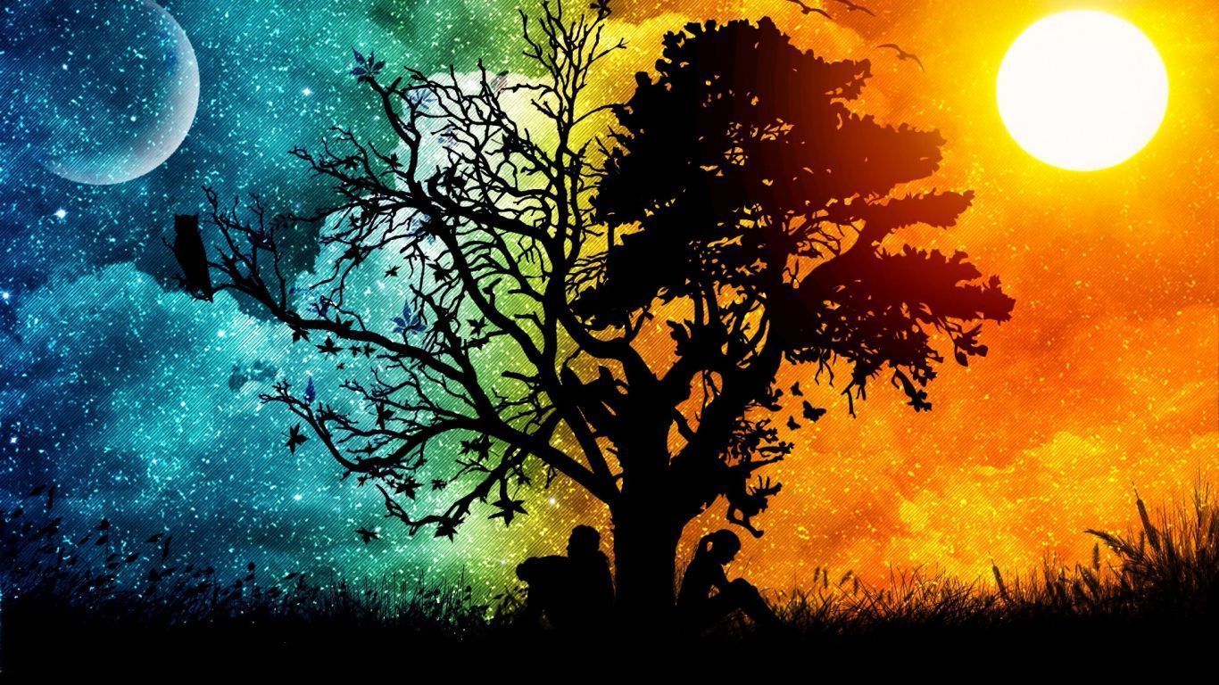Albero silhouette giorno e notte, 1366x768 720p, Dell XPS