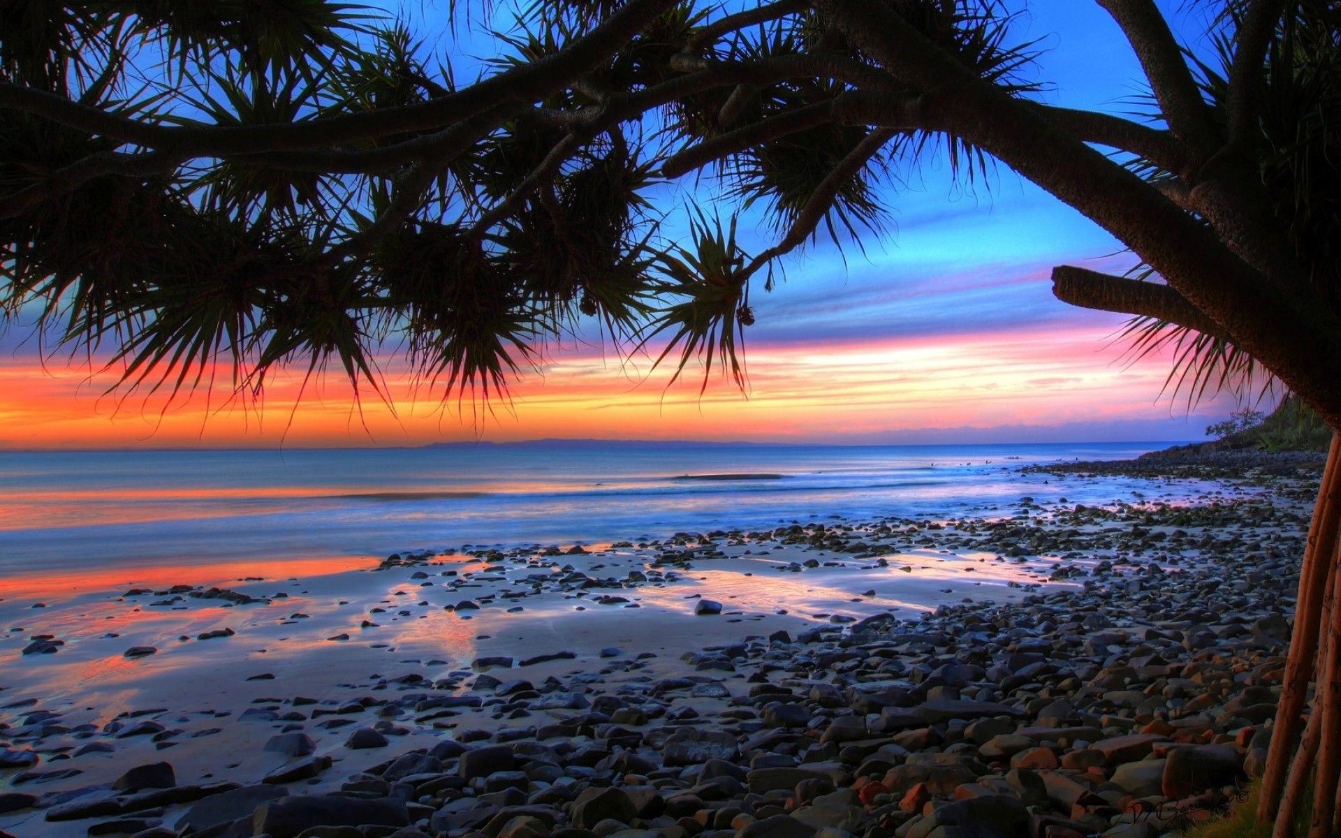 Tramonto spiaggia con palme, 1920x1200 Full HD+, Notebook Gaming