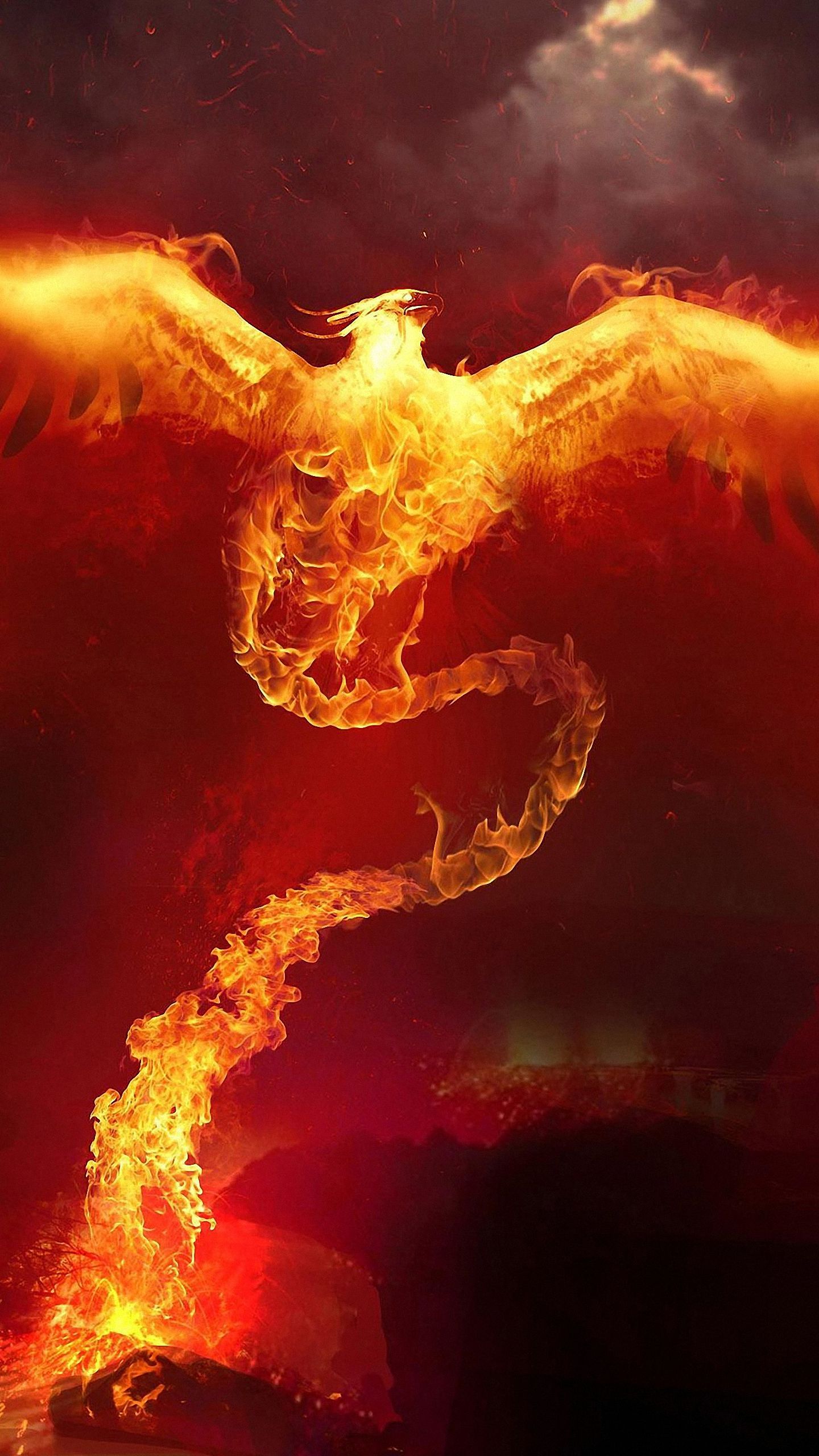 Fenice di fuoco fiammeggiante, sfondi per Telefono, 1440x2560 Full HD Verticale, Smartphone