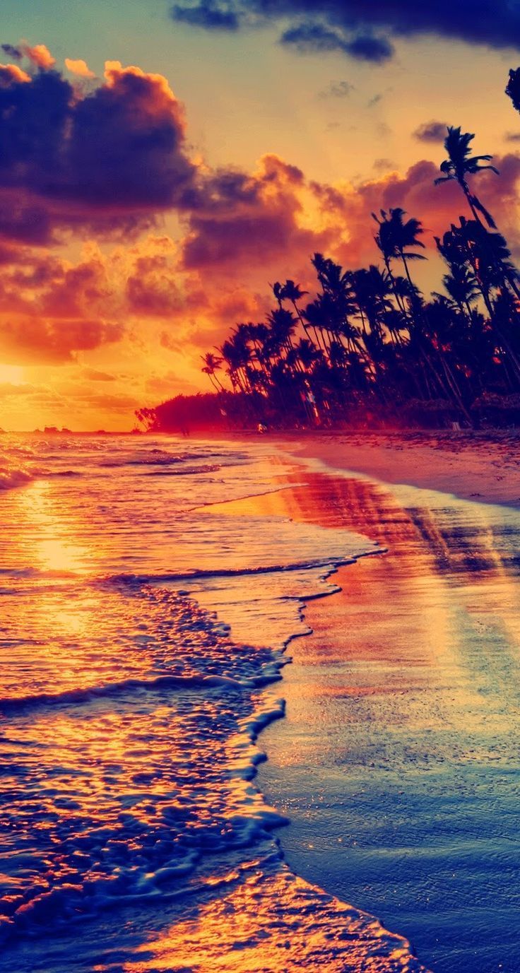 Spiaggia tropicale al tramonto, sfondi per Telefono, 736x1377 Verticale, Mobile