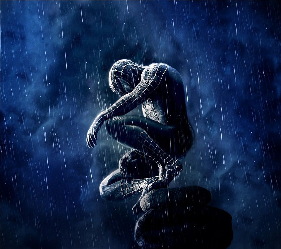 Spiderman accovacciato sotto la pioggia, Uomo Ragno, sfondi per Telefono, 960x853 HD, Laptop