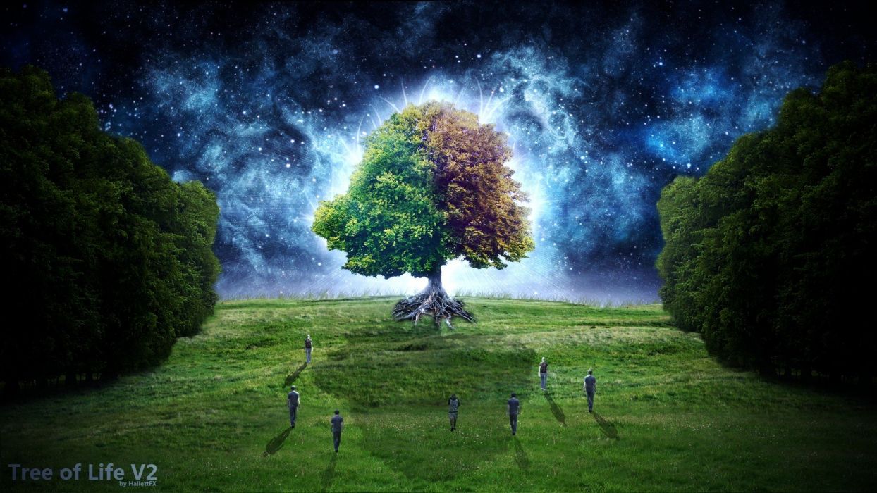 Albero della Vita notte stellata, 1244x700 HD, Desktop