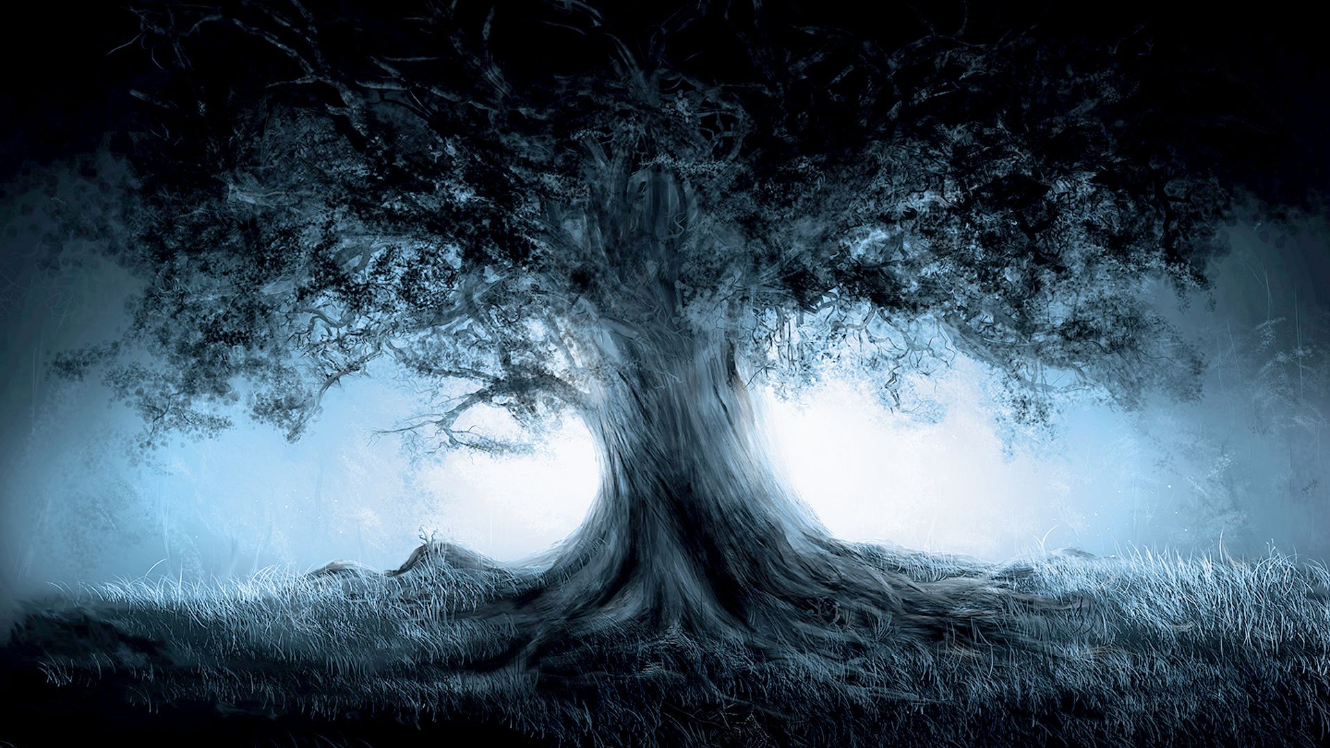 Albero scuro nella nebbia notturna, 1920x1080 Full HD 1080p, Desktop