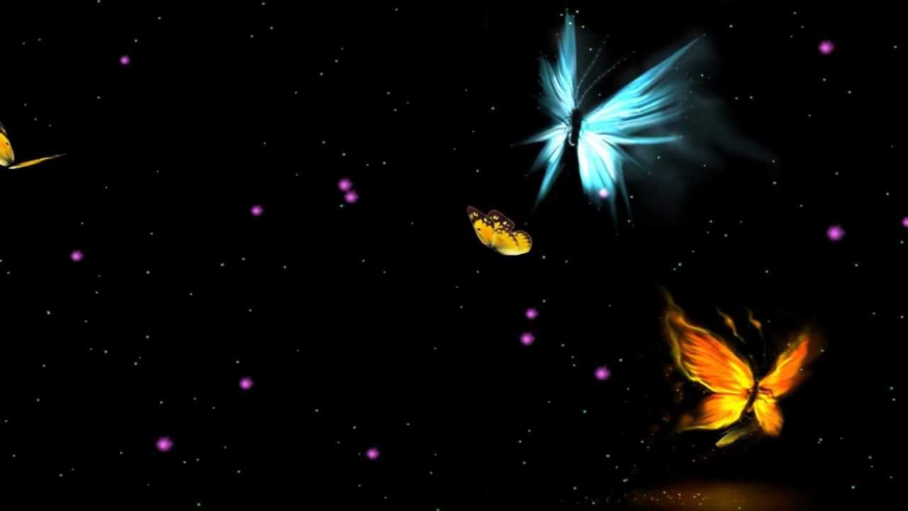 Farfalle luminose sfondo nero, 1280x720 720p, iMac