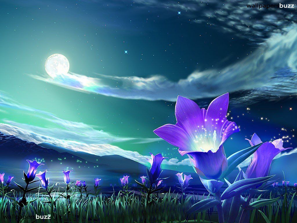 Fiori viola fantasy notturni, 1024x768 HD, Laptop