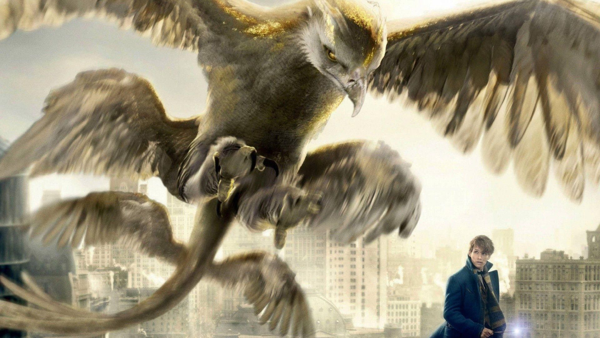 Animali Fantastici Thunderbird, 1920x1080 Full HD 1080p, PC