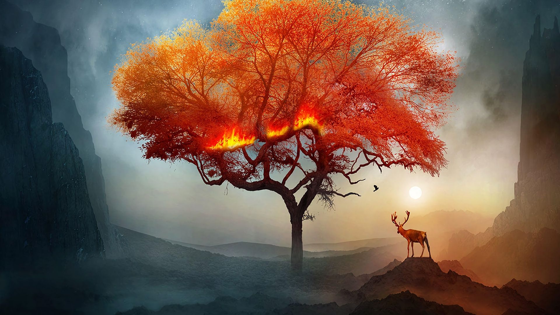 Albero in fiamme con cervo, 1920x1080 Full HD 1080p, PC