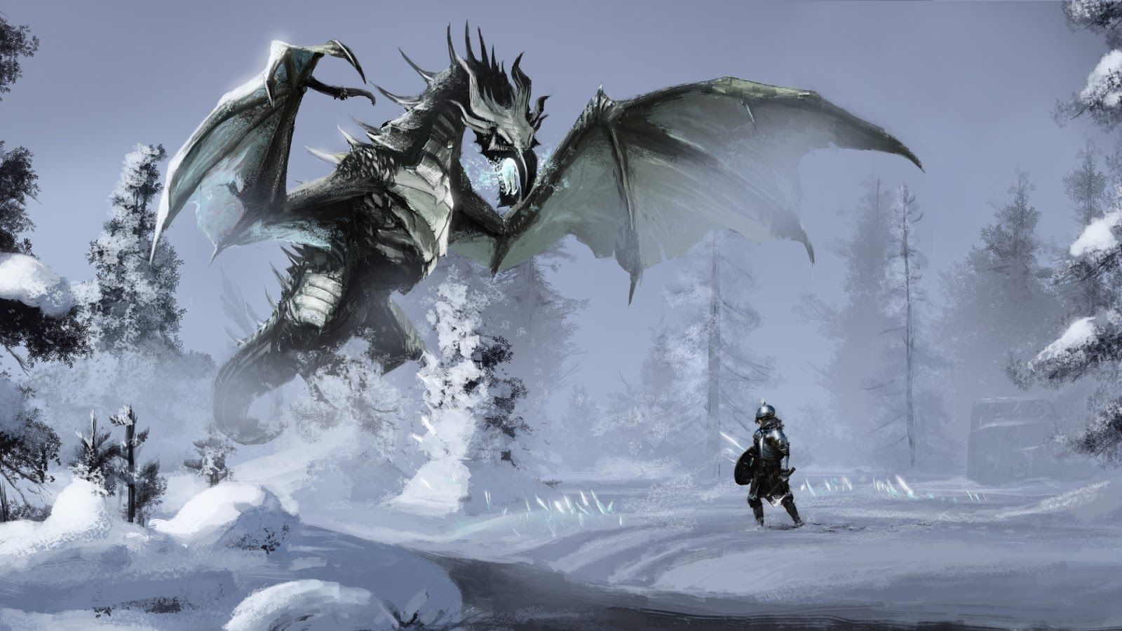 Drago e guerriero neve, 1600x900 HD, PC