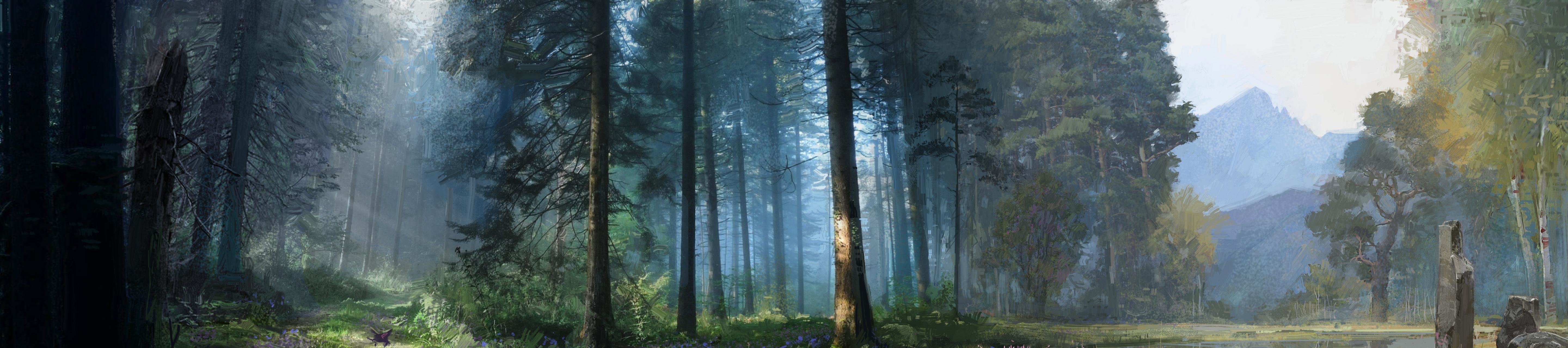 Foresta con betulle e prato, 1244x700 HD, PC Desktop