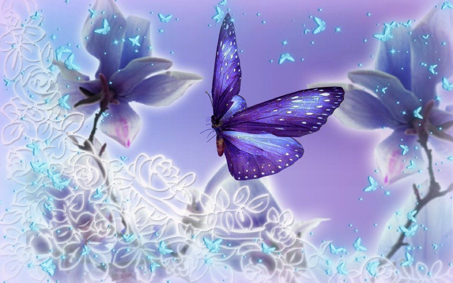 Farfalla viola neon con fiori, 1920x1200 WUXGA, Laptop