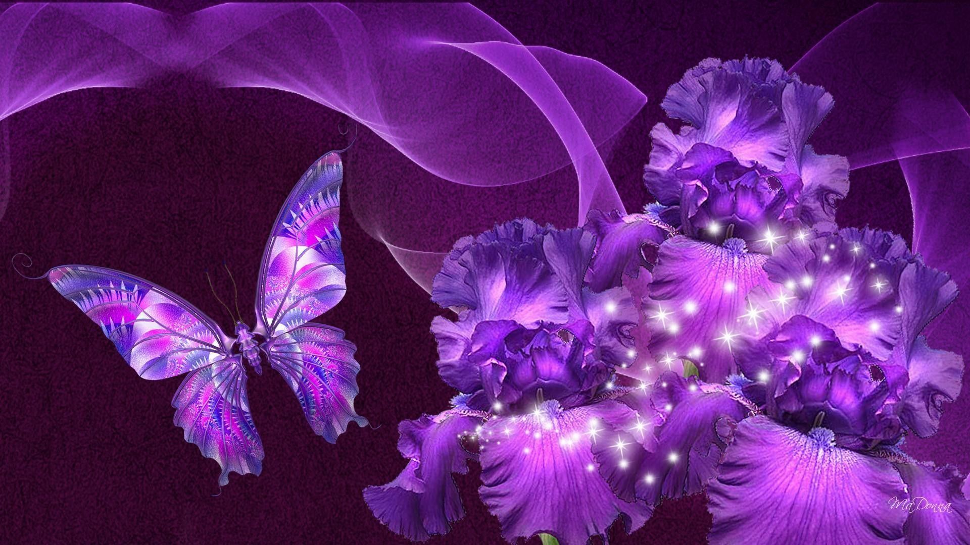 Farfalla viola e iris luminosi, 1920x1080 Full HD 1080p, Desktop