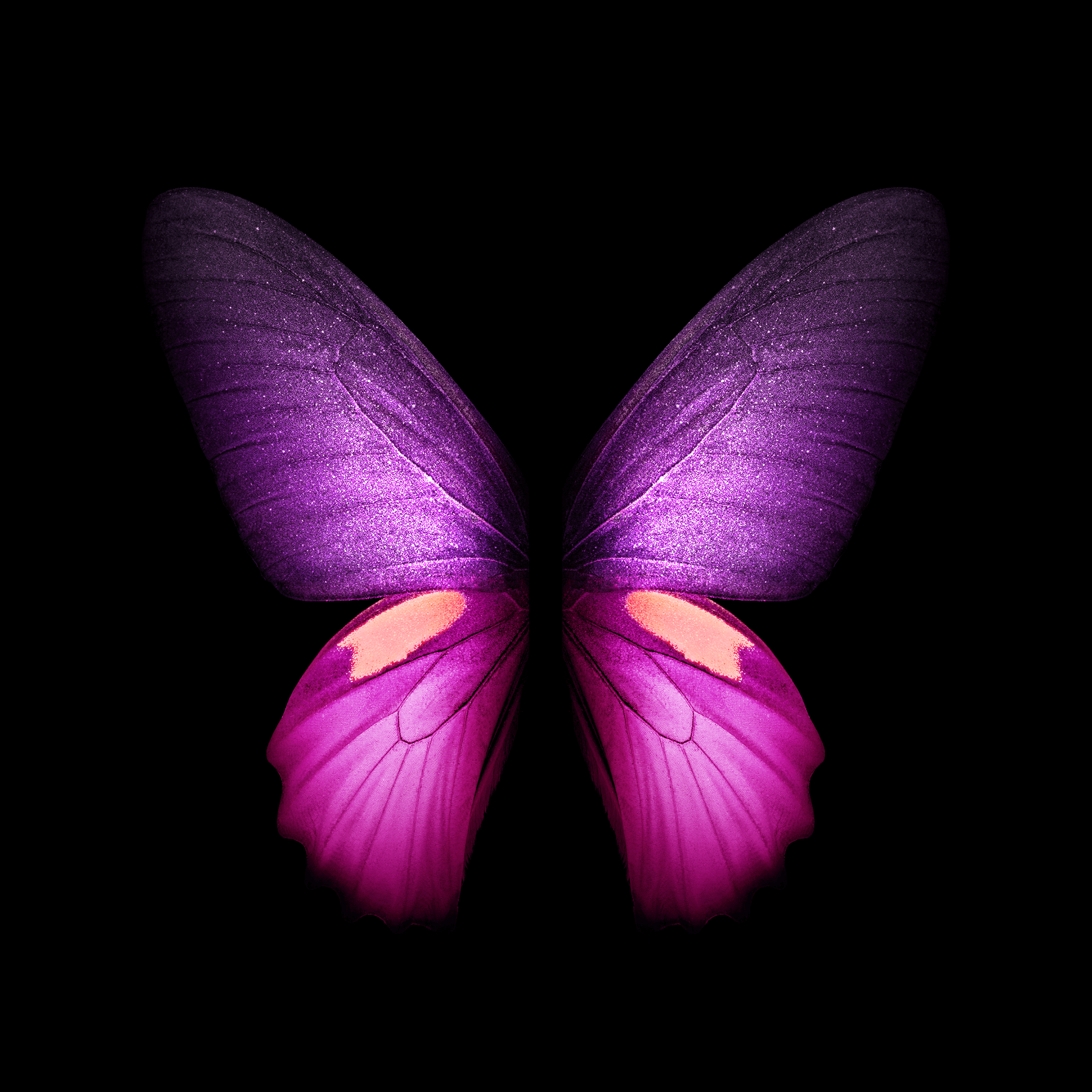 Farfalla viola e rosa, 2152x2152 2K, iMac