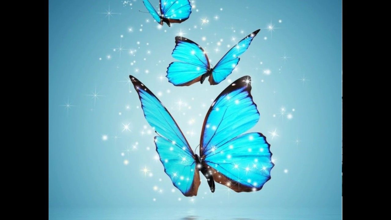 Farfalle blu animate scintillanti, 1280x720 HD, Desktop