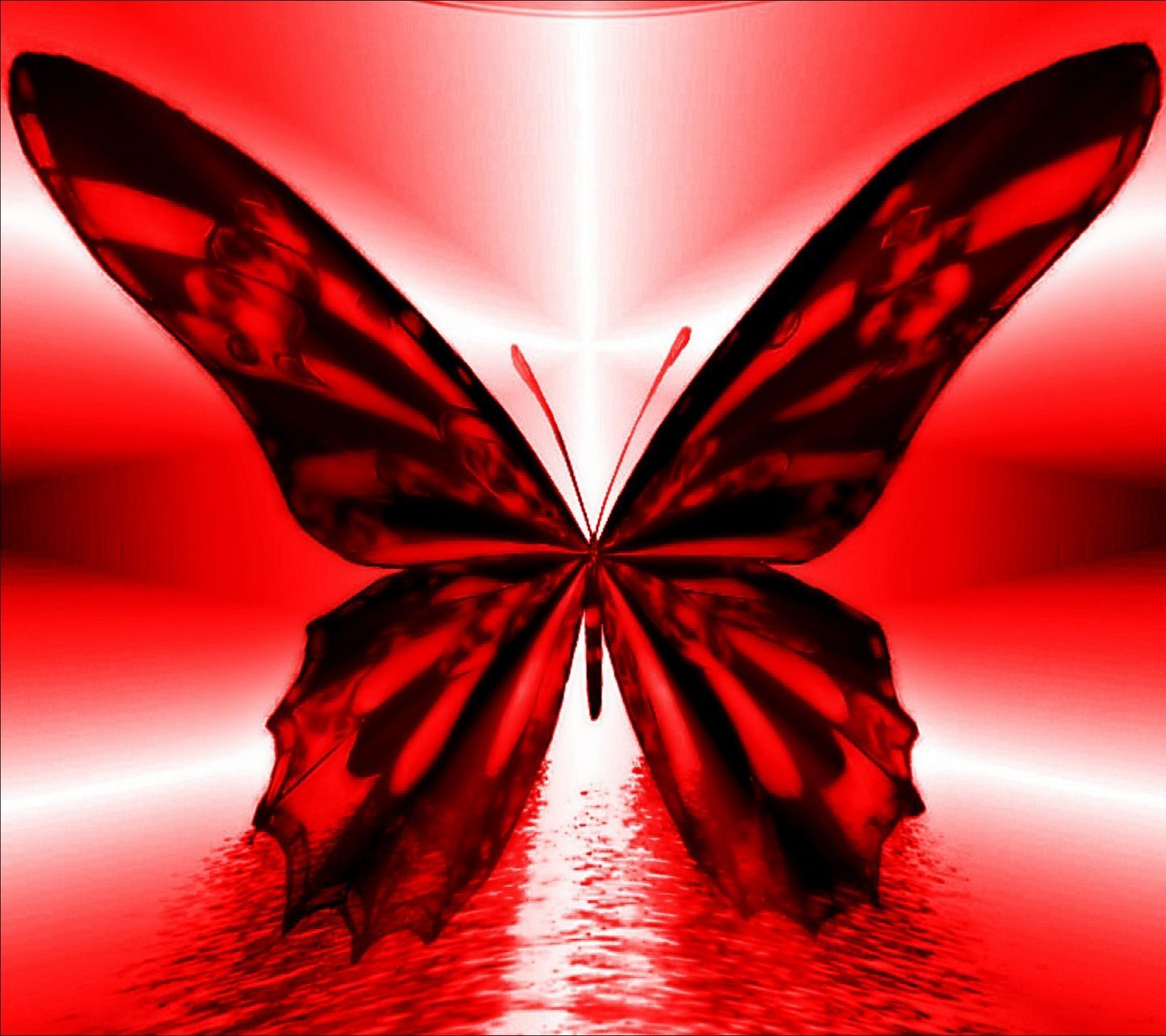 Farfalla rossa e nera astratta, 1440x1280 720p, Acer Nitro