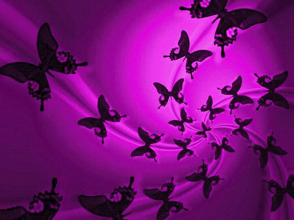 Farfalle nere su viola, 1024x768 HD, Desktop