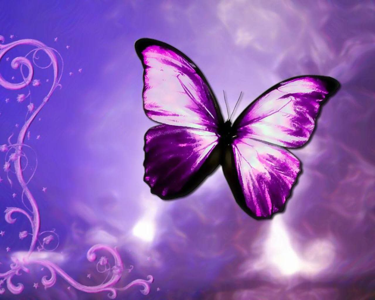 Farfalla viola animata, 1280x1024 720p, Laptop