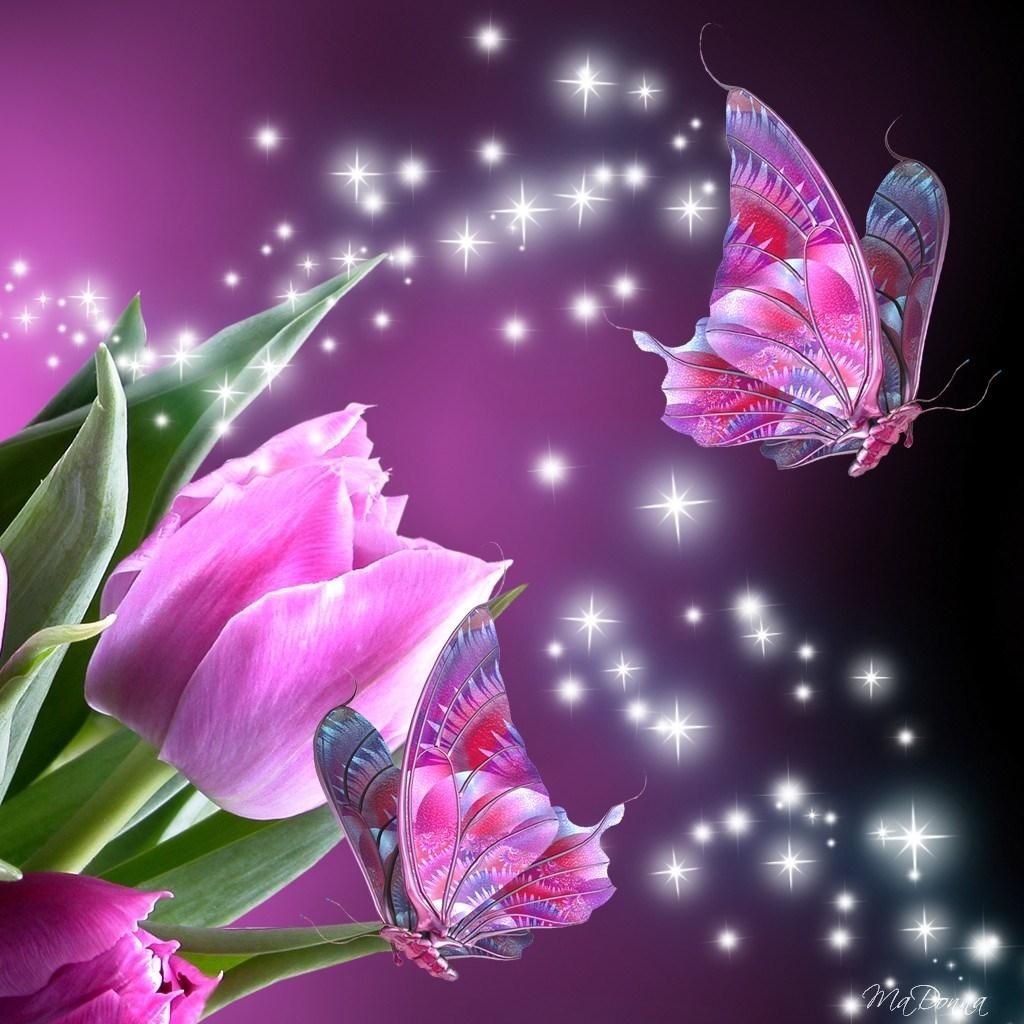 Farfalle rosa con tulipani viola, 1024x1024 HD, PC