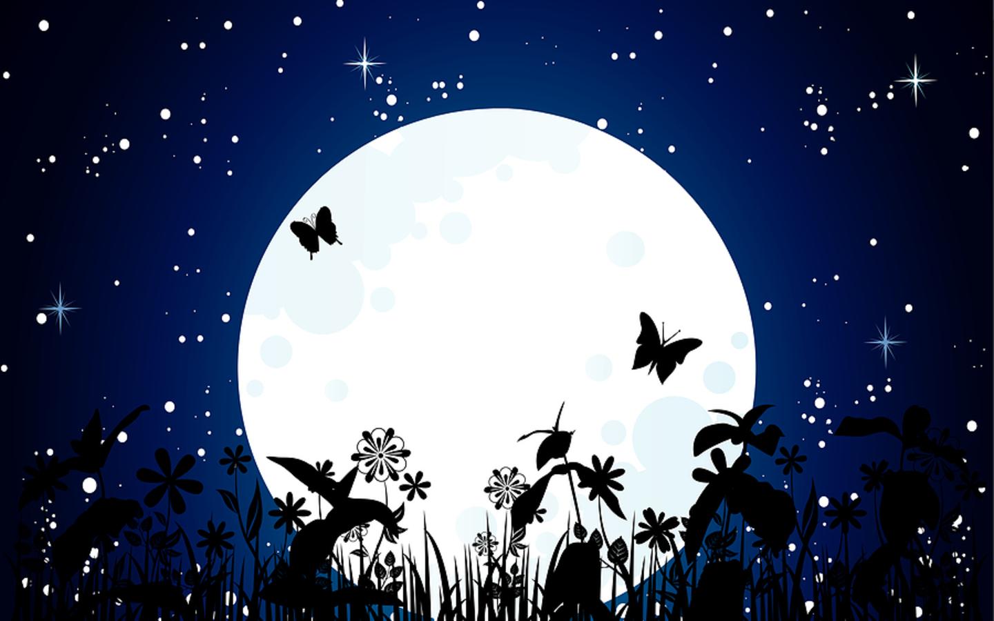 Farfalle silhouette luna notturna, 1440x900 HD, MacBook Air