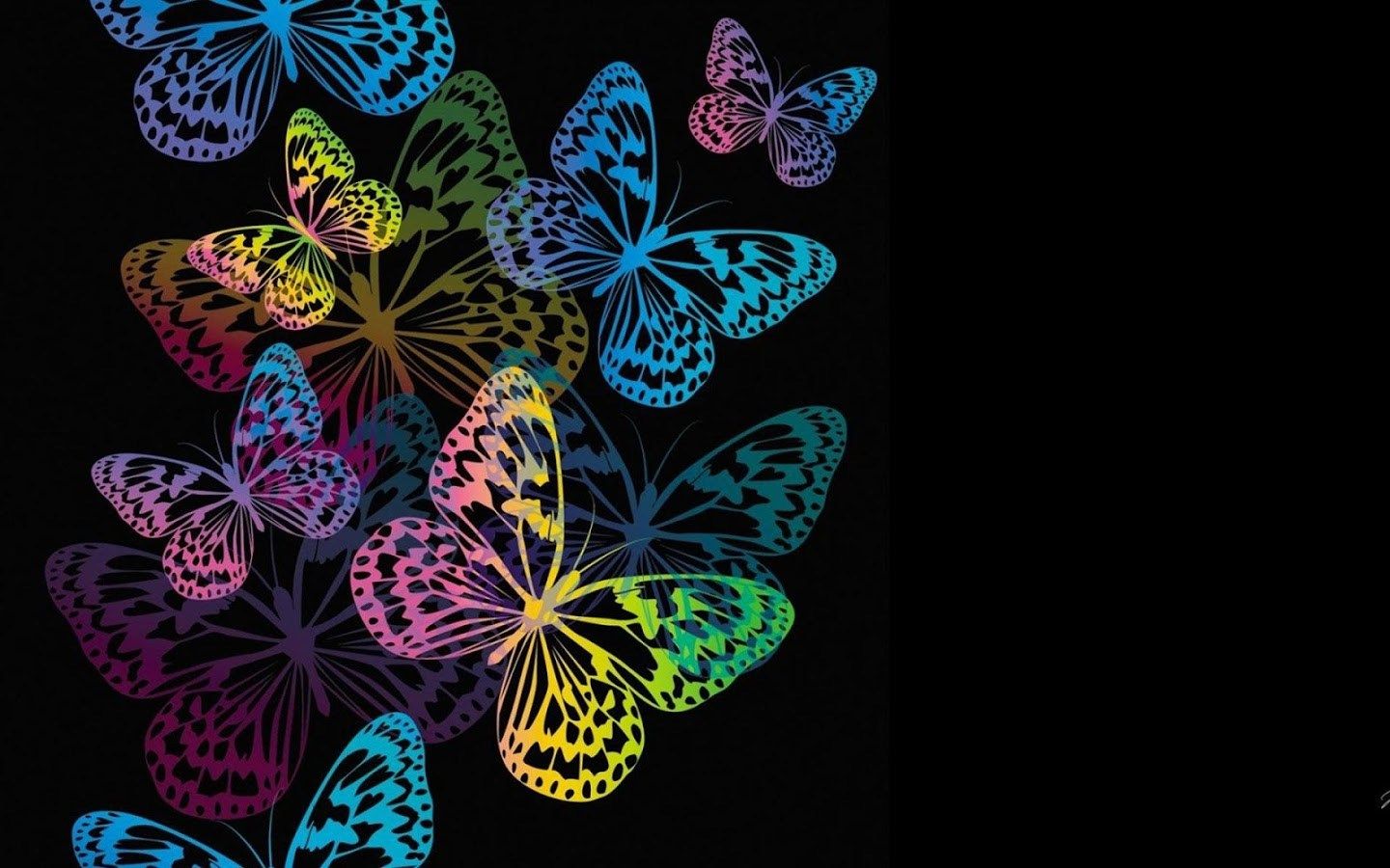 Farfalle colorate su sfondo nero, 1440x900 720p, Laptop