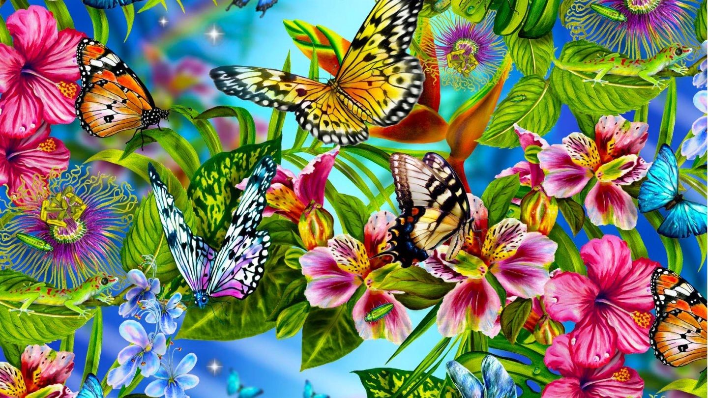 Farfalle colorate su fiori, 1440x810 HD, PC Desktop
