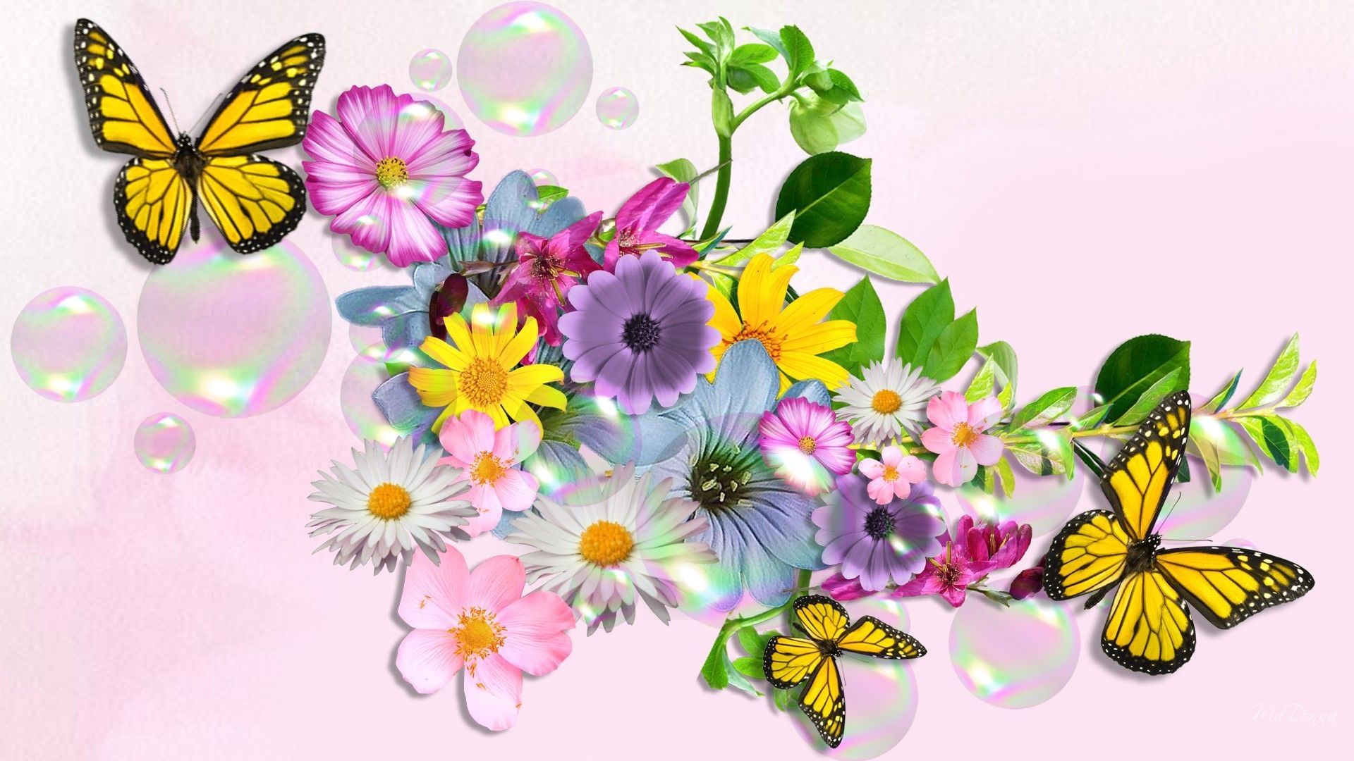 Farfalle animate con fiori colorati, 1920x1080 Full HD, PC Desktop