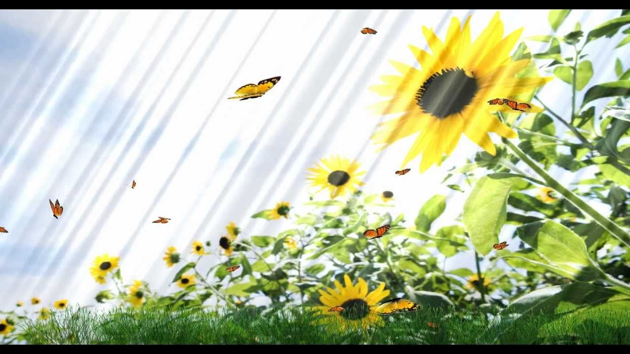 Farfalla stilizzata con fiori, 1600x1200 HD Ready, Laptop