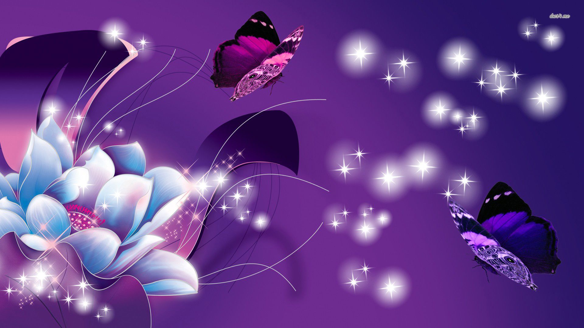 Farfalle viola e fiore luminoso, 1920x1080 Full HD 1080p, PC