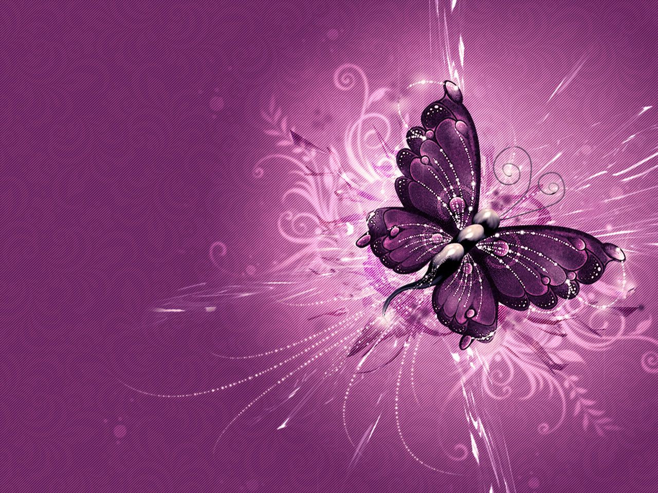 Farfalla turchese su rosa rosa, 1024x768 HD, Desktop