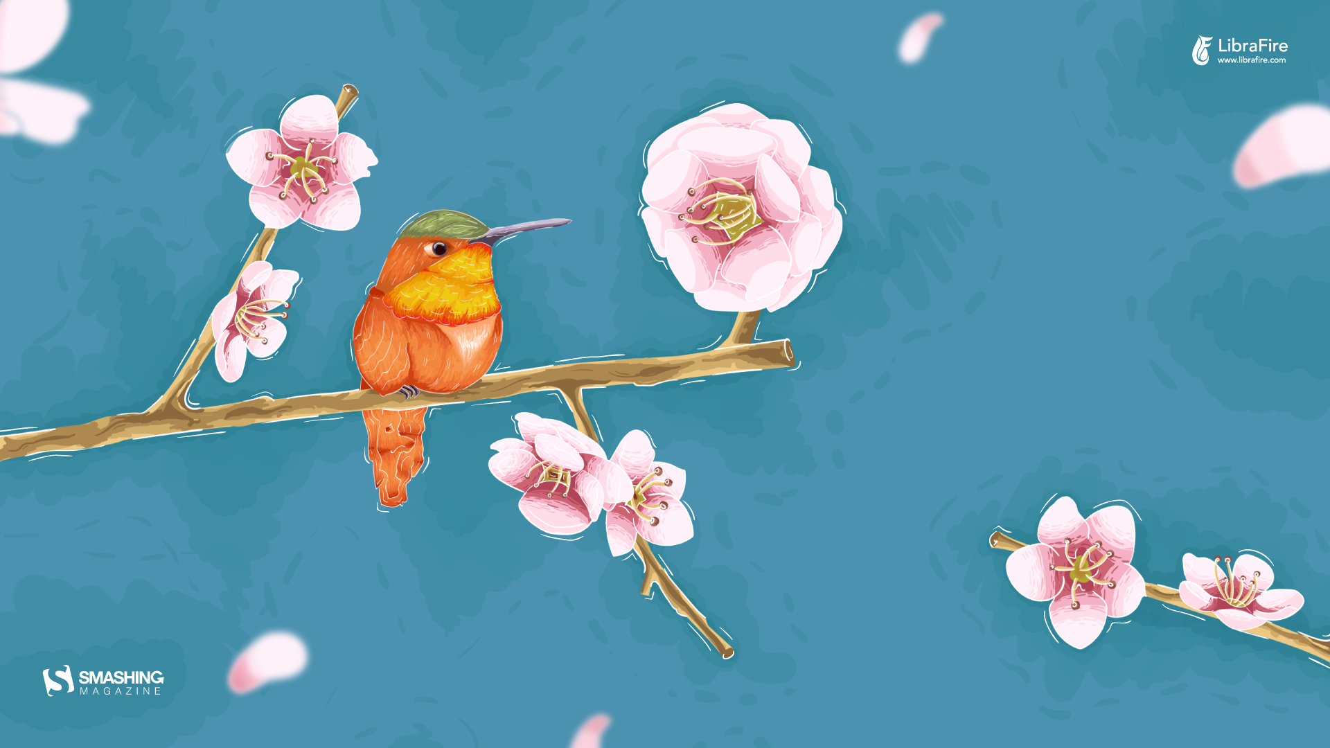 Uccellino su ramo di fiori, 1920x1080 Full HD 1080p, PC Desktop