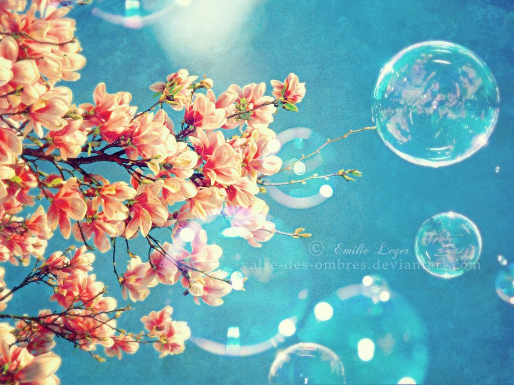 Fiori di ciliegio e bolle, 1024x768 HD, PC