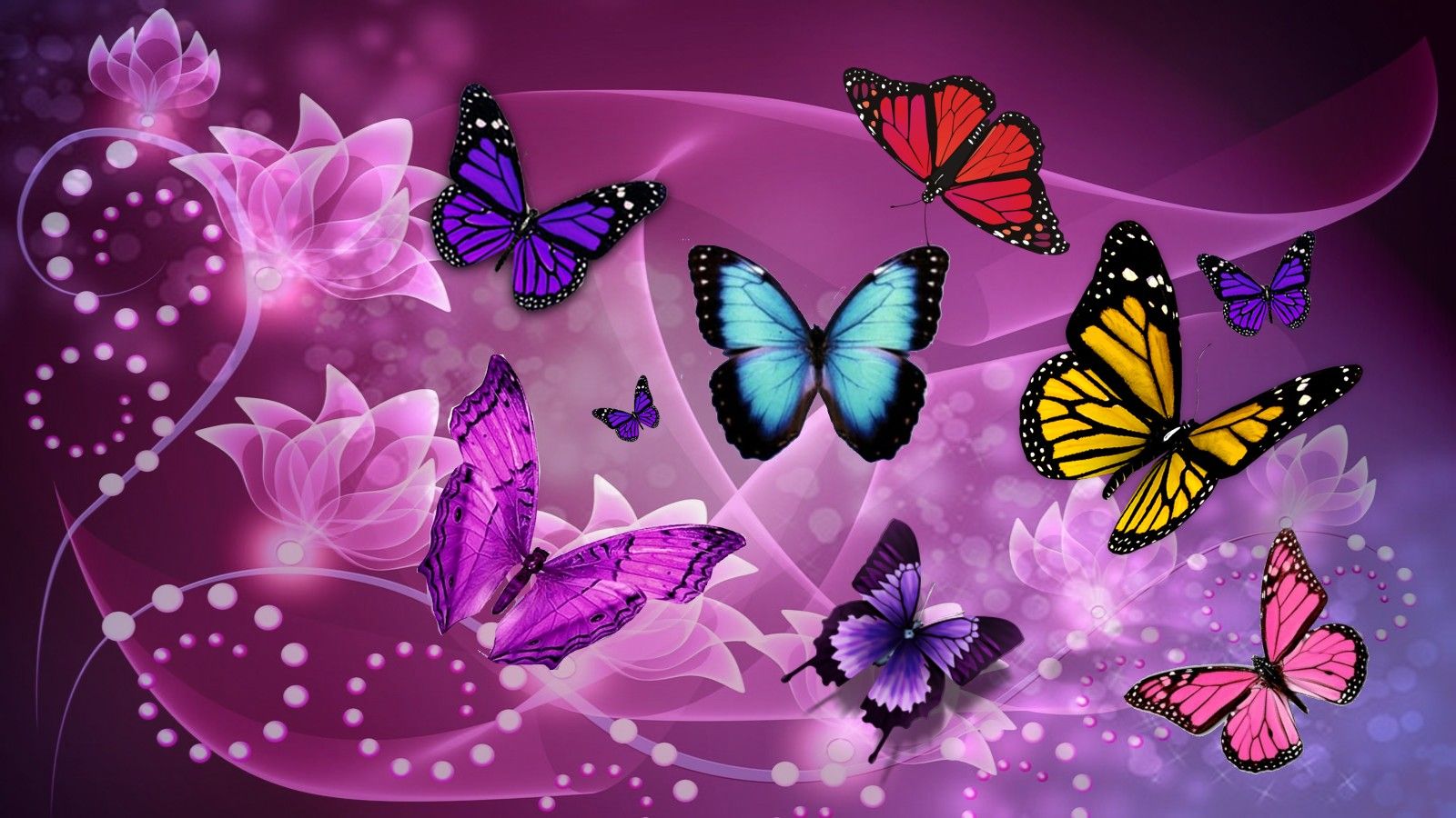 Farfalle colorate su viola, 1600x900 HD, PC Desktop