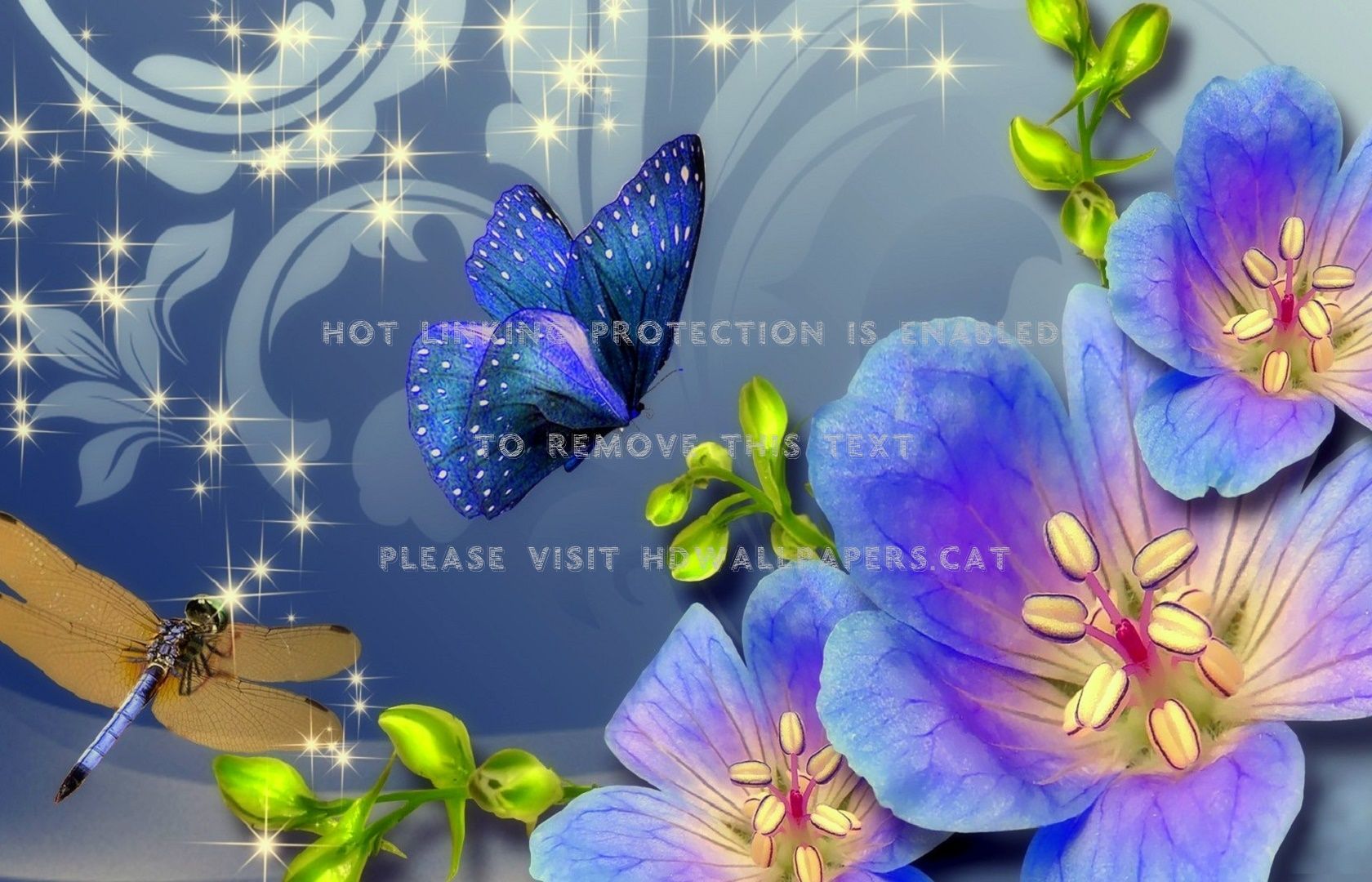 Farfalla e libellula viola con fiori, 1680x1080 HD, Laptop