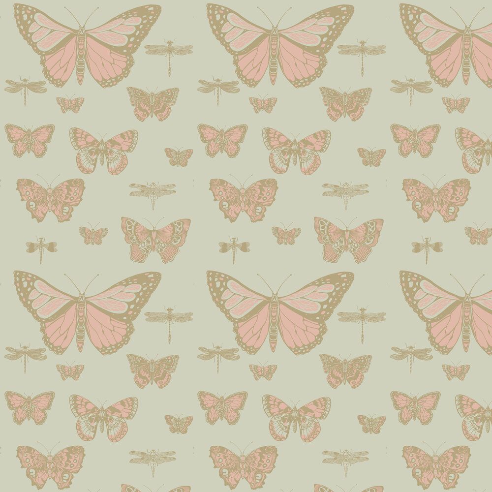 Farfalle e libellule rosa verde, 1000x1000 HD, Laptop