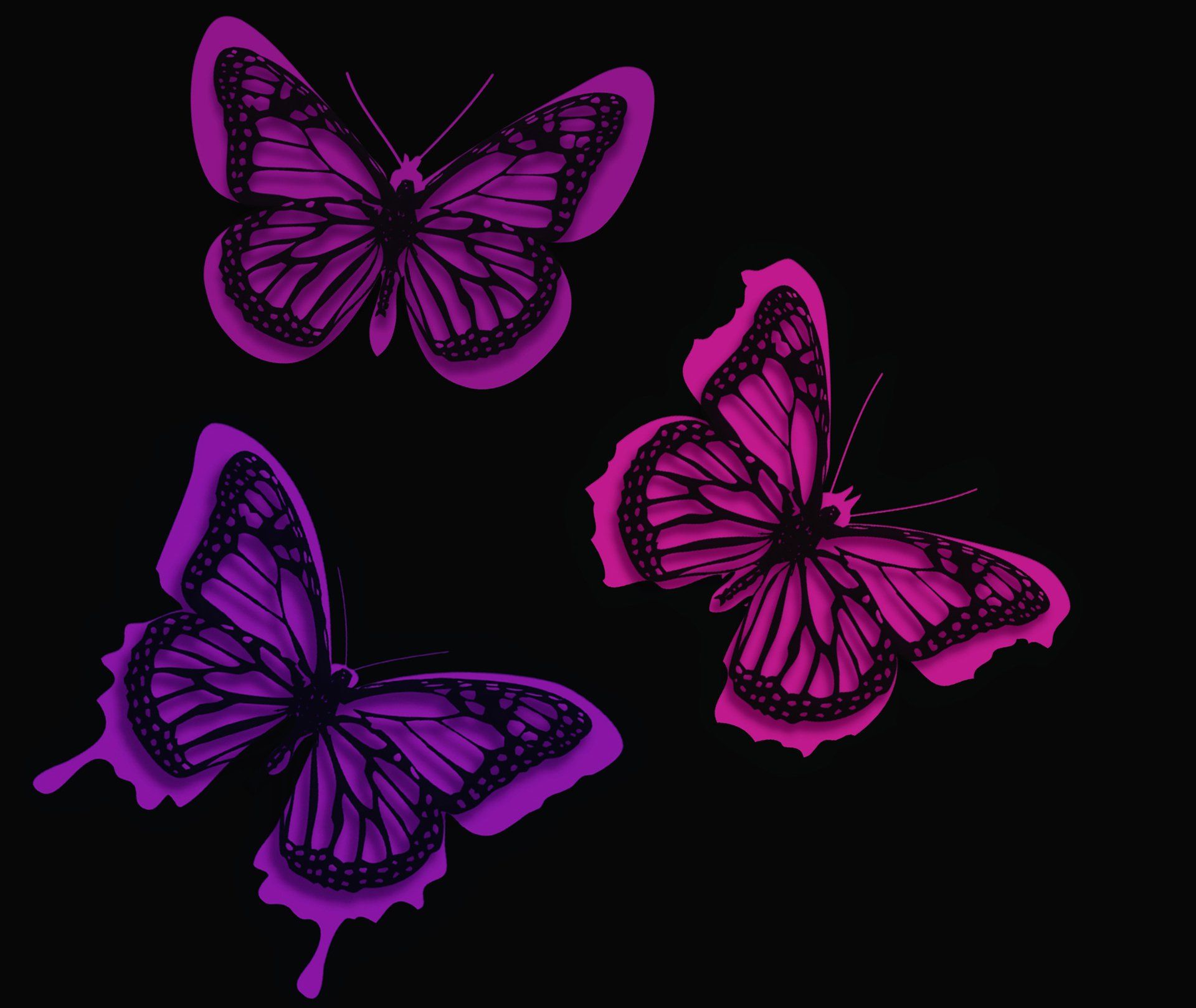 Farfalle viola su nero, 1920x1618 WUXGA, Laptop