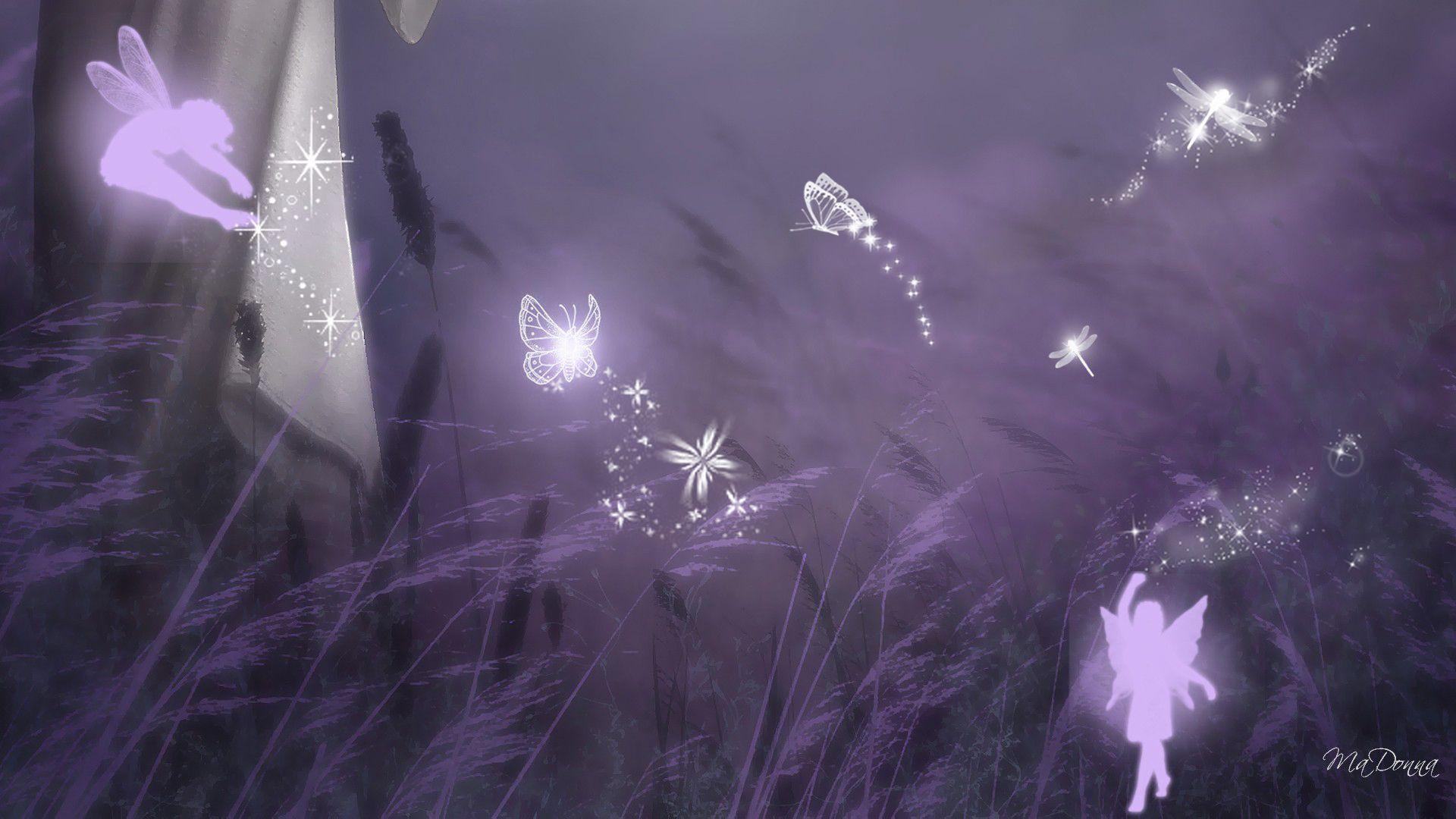 Fatine viola tra erba, 1920x1080 Full HD 1080p, Desktop