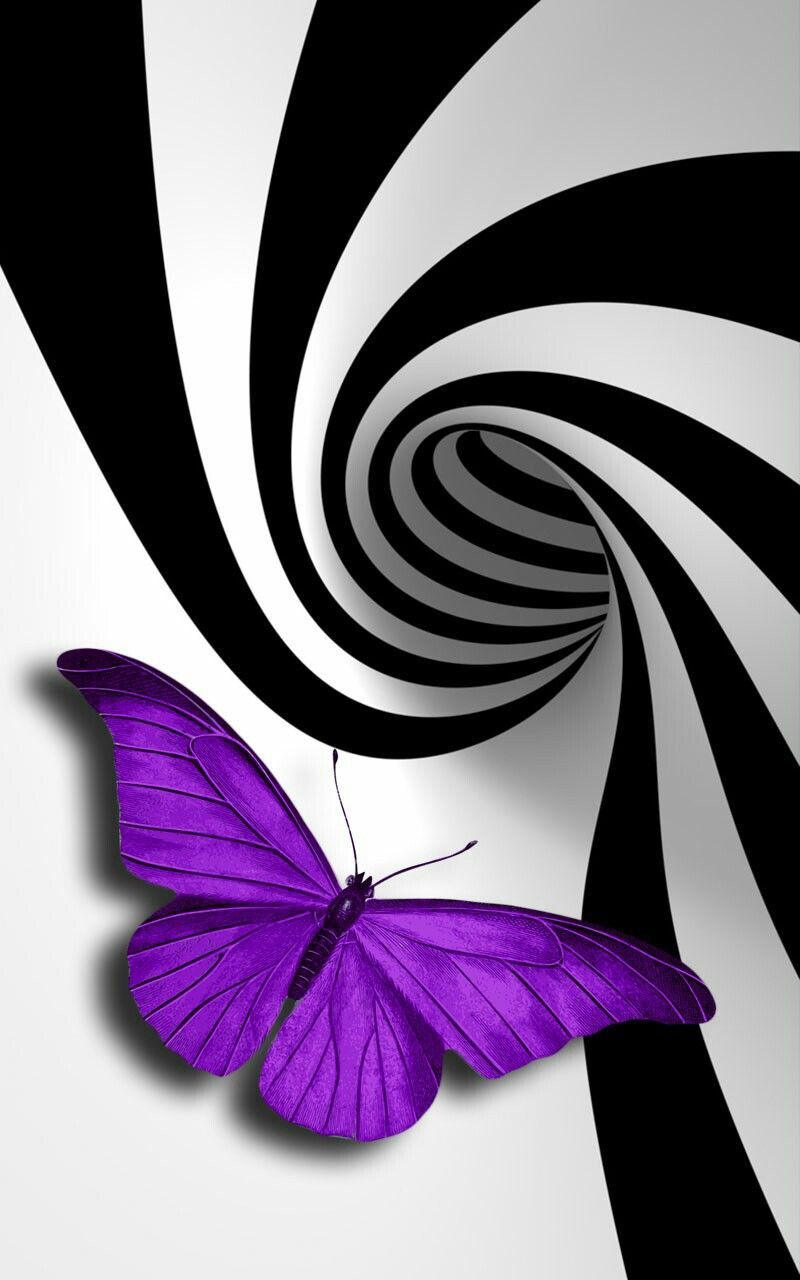 Farfalla viola spirale bianco nero, 800x1280 Full HD Verticale, iPhone