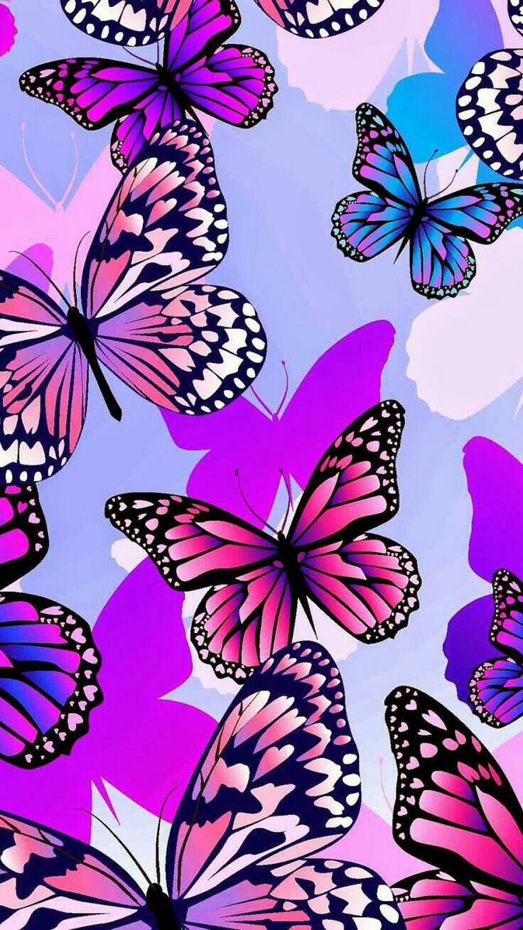 Farfalle viola e rosa, 736x1309 Verticale, Telefono