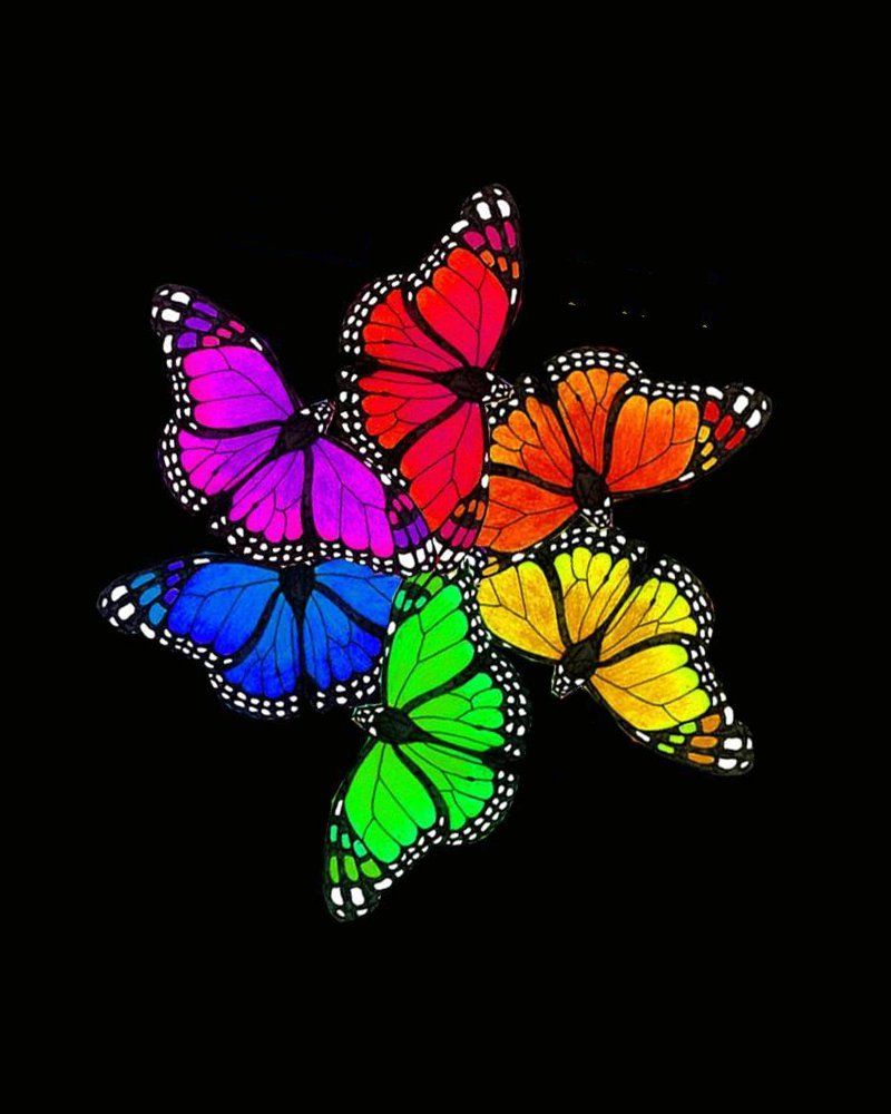 Farfalle colorate su nero, 800x1000 Verticale, Mobile