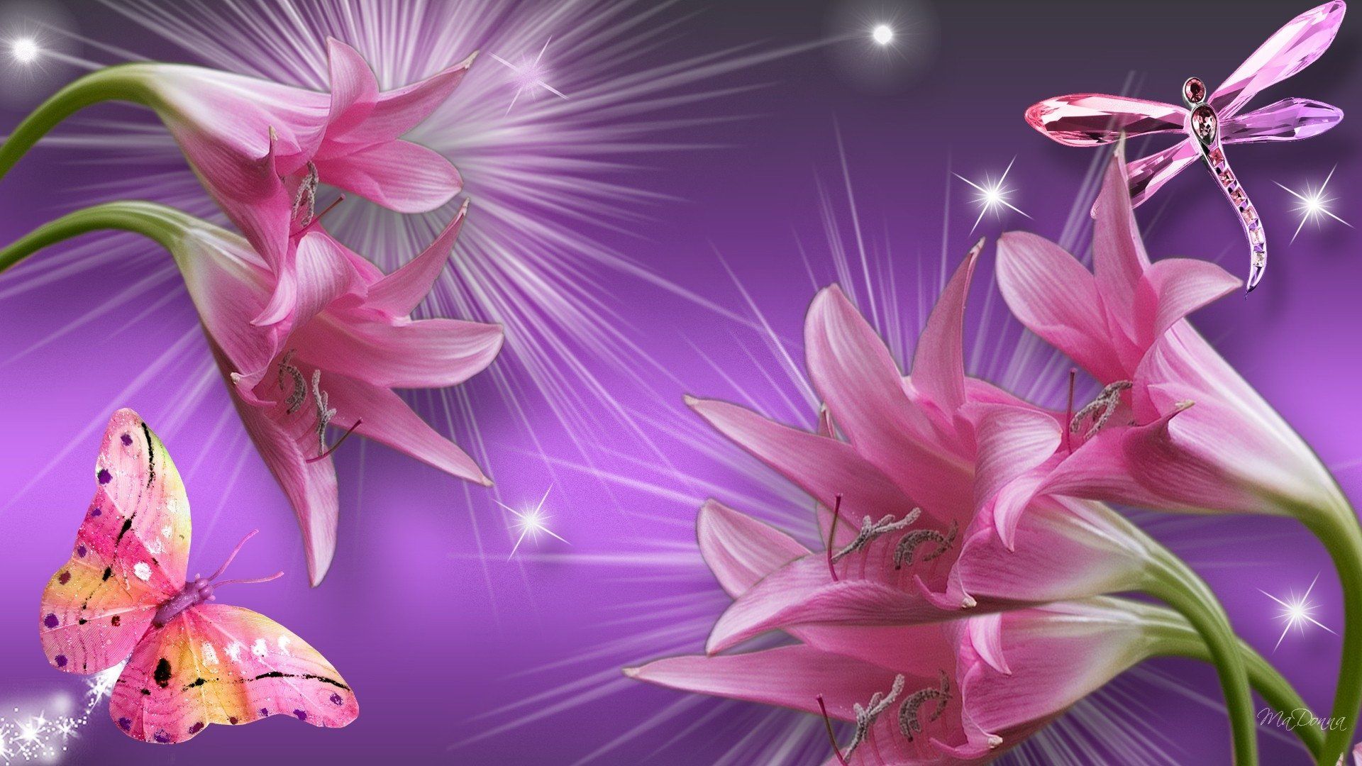 Gigli rosa, farfalla e libellula viola, 1920x1080 Full HD, Laptop