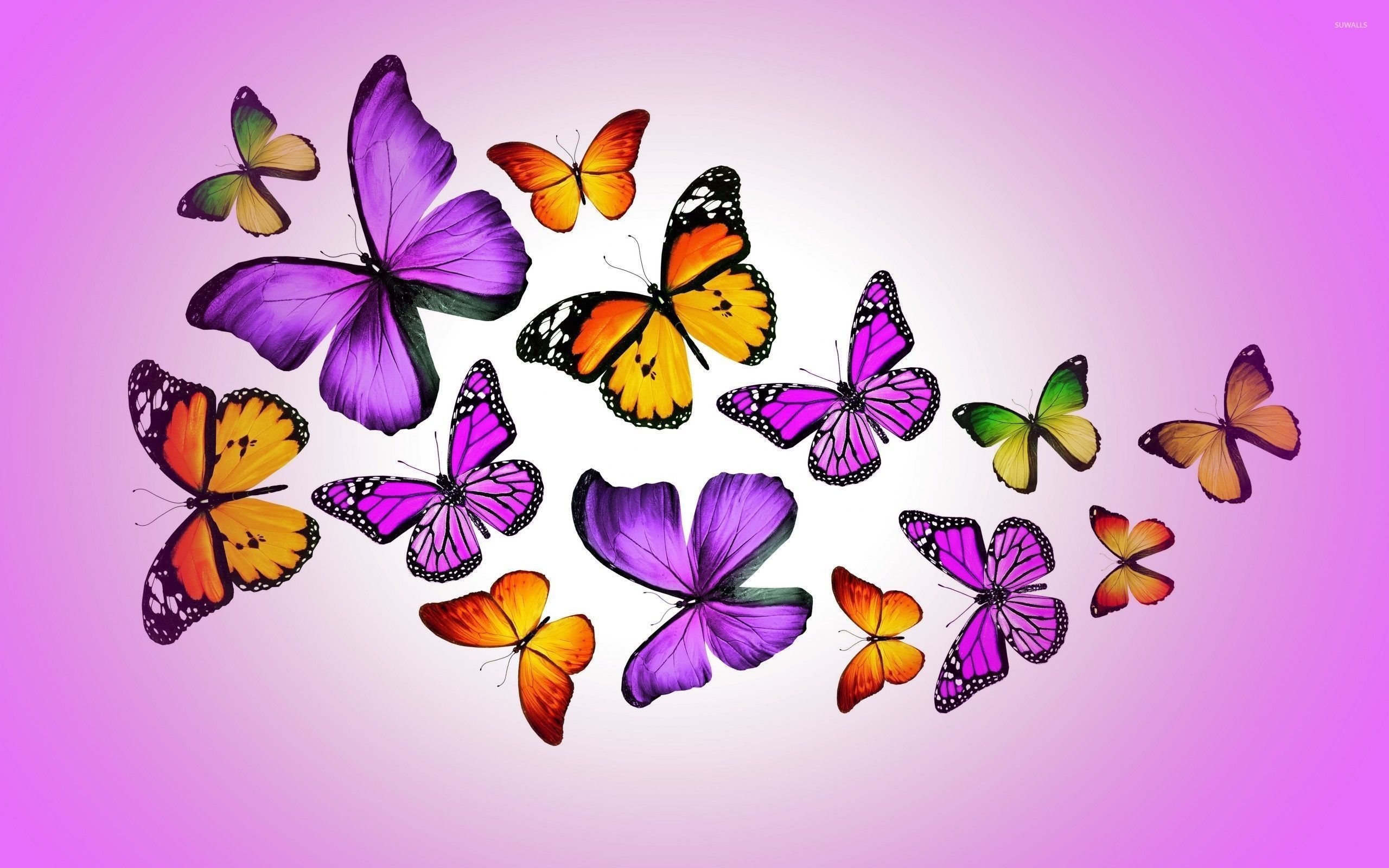 Farfalla viola e nera illustrata, 920x1129 Full HD Verticale, iPhone
