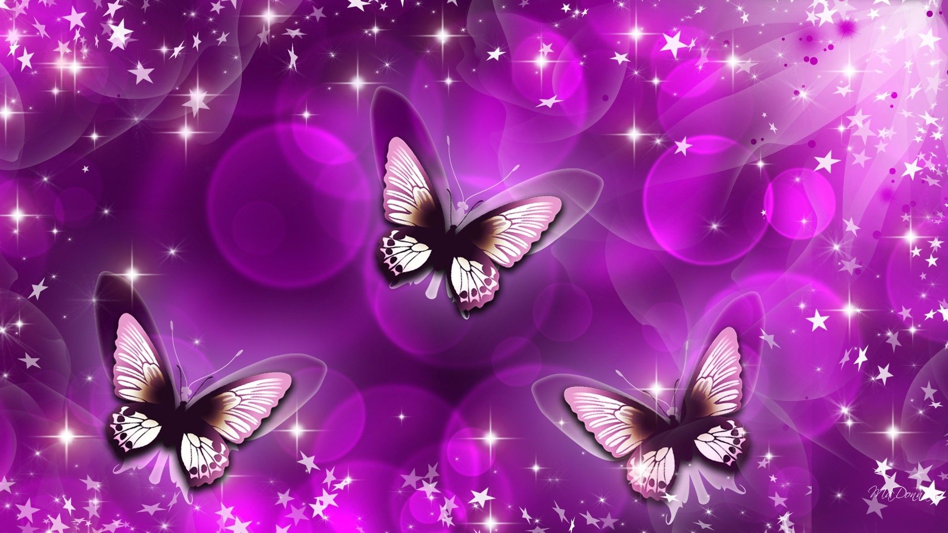 Farfalle viola e arancioni, 2560x1600 WQXGA, Laptop