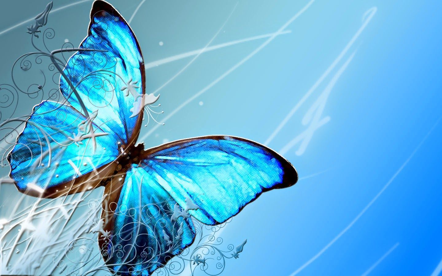 Farfalla blu su sfondo azzurro, 1440x900 720p, Monitor Gaming