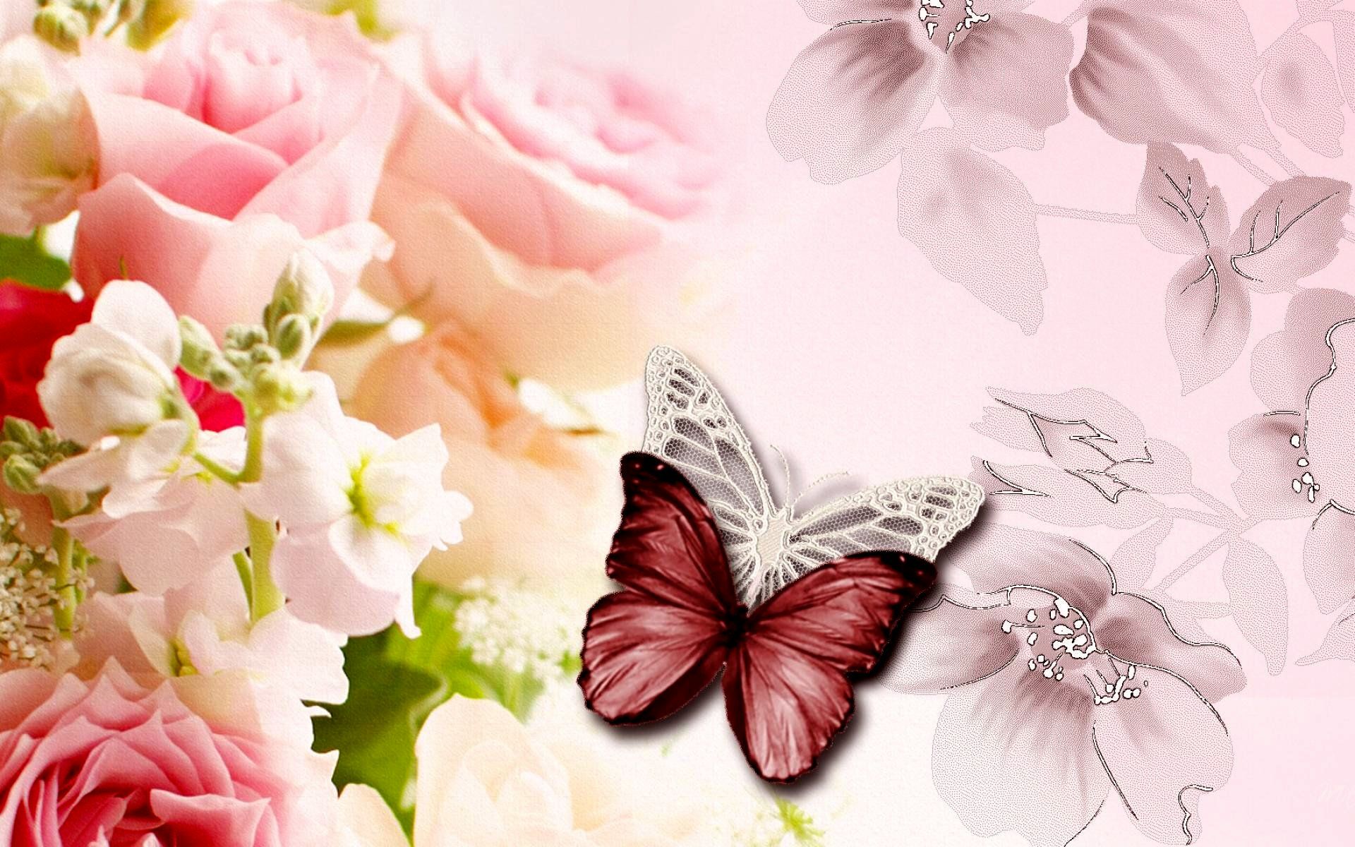 Farfalla rossa con rose rosa, 1920x1200 Full HD+, Desktop